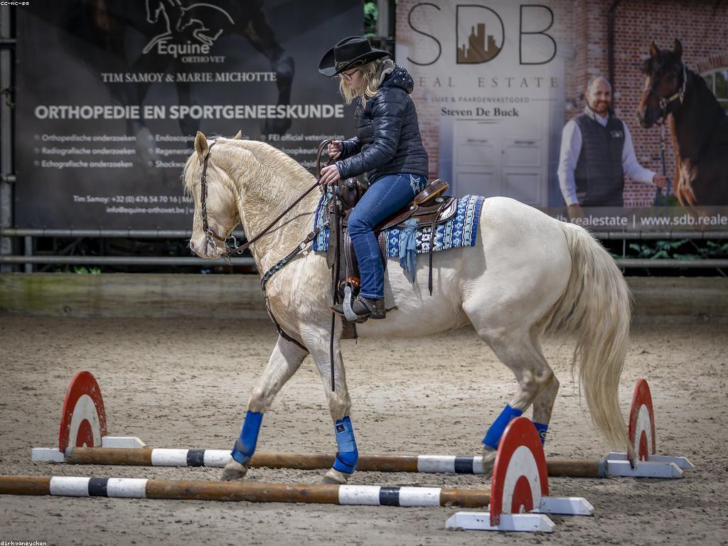 យុទ្ធសាស្ត្រប្រកួតដើម្បីទទួលបានអត្ថប្រយោជន៍ប្រកួត