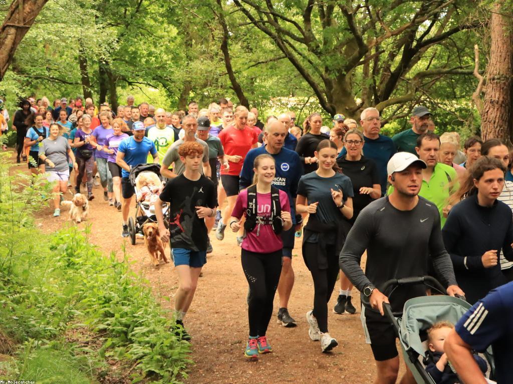 សារៈសំខាន់នៃការបង្ហាញពីកីឡា